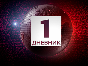 Дневник 1