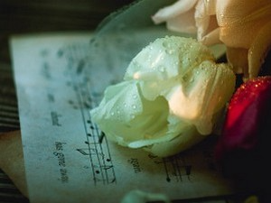 Избор недељног хита класичне музике