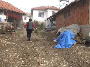 Живот жена на селу – рад од јутра до мрака, често без плате и здравствене заштите