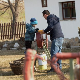 Паноникум: Сточарство као изазов