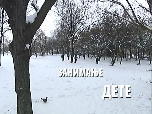 Занимање дете	Ања Алексић