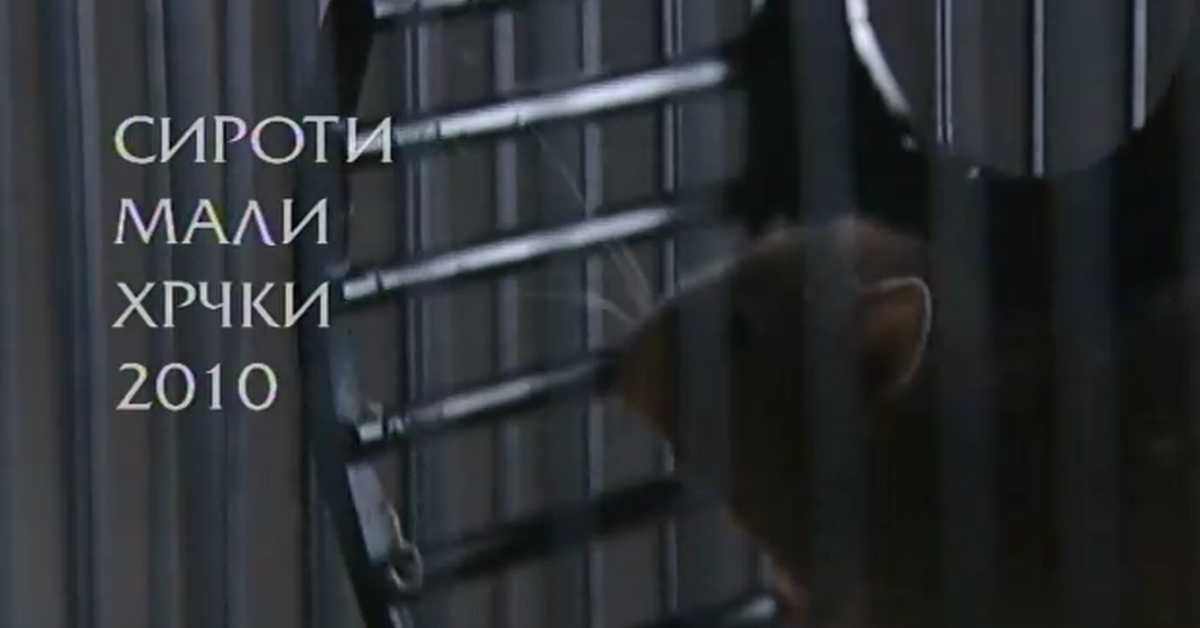 Сироти мали хрчки 2010, 1. део Сироти мали хрчки 2010, 1. део