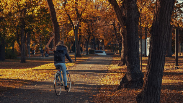 Јутарња магла и слаб мраз, током дана сунчано, највиша дневна температура 16 степени