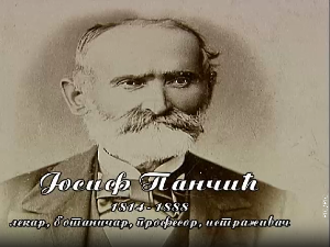 Историја науке: Јосиф Панчић