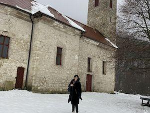 Култура Срба у Хрватској: Банија