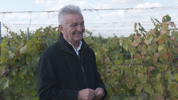 Берба грожђа приведена крају