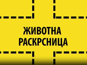 Животна раскрсница:	Инсомнија код младих