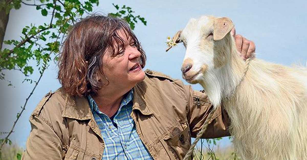 Козје уши: Најке старке Доситеј, 2-4 Козје уши: Најке старке Доситеј, 2-4