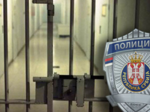 Притвор осумњиченом за саобраћајну несрећу на Новом Београду у којој је погинула породица Притвор осумњиченом за саобраћајну несрећу на Новом Београду у којој је погинула породица