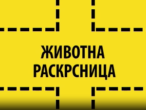 Животна раскрсница:	Пирсинг и тетоважа