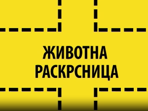 Животна раскрсница:	Депресија код младих