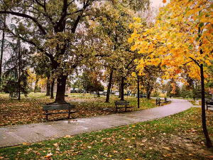 Ујутру мраз, током дана претежно сунчано и топлије – највиша температура до 13 степени