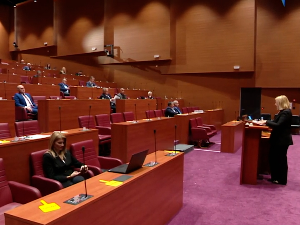 Негирање усташких злочина у Хрватском сабору:  Негирање усташких злочина у Хрватском сабору: