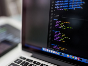 Милена Шовић