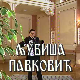 Постер Љубише Павковића