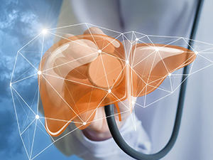 Рак јетре трећи по смртности – симптоми, рано откривање, лечење модерним терапијама (https://www.canva.com/) Рак јетре трећи по смртности – симптоми, рано откривање, лечење модерним терапијама