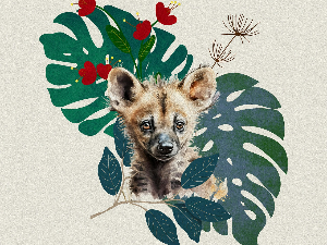 Добро јутро децо: Каква је хијени хигијена