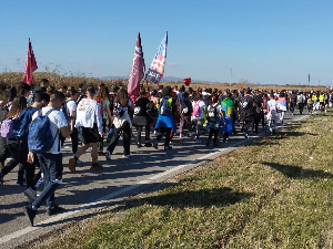 Студенти након одмора у Инђији наставили пешачење ка Новом Саду