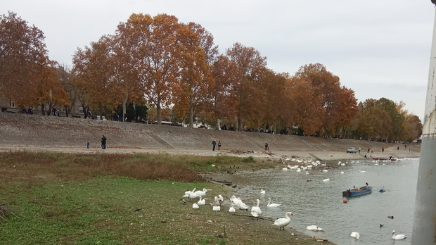 Јутарњи викенд програм