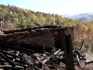 На источним обронцима Копаоника изгорело шест штала На источним обронцима Копаоника изгорело шест штала