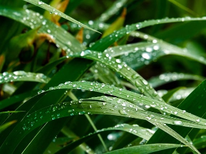 Имагинарни пејзажи