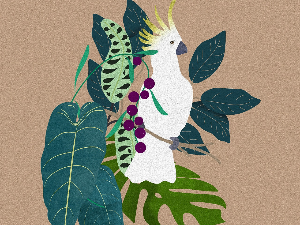 Добро јутро децо: Мали Ђуро