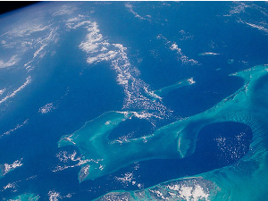 Плава хуманистика