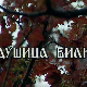 Лети, лети песмо моја мила: Постер Душице Билкић