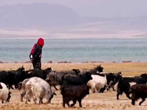 Кров света, 4. емисија