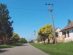 Винил – Срем, Банат и Бачка