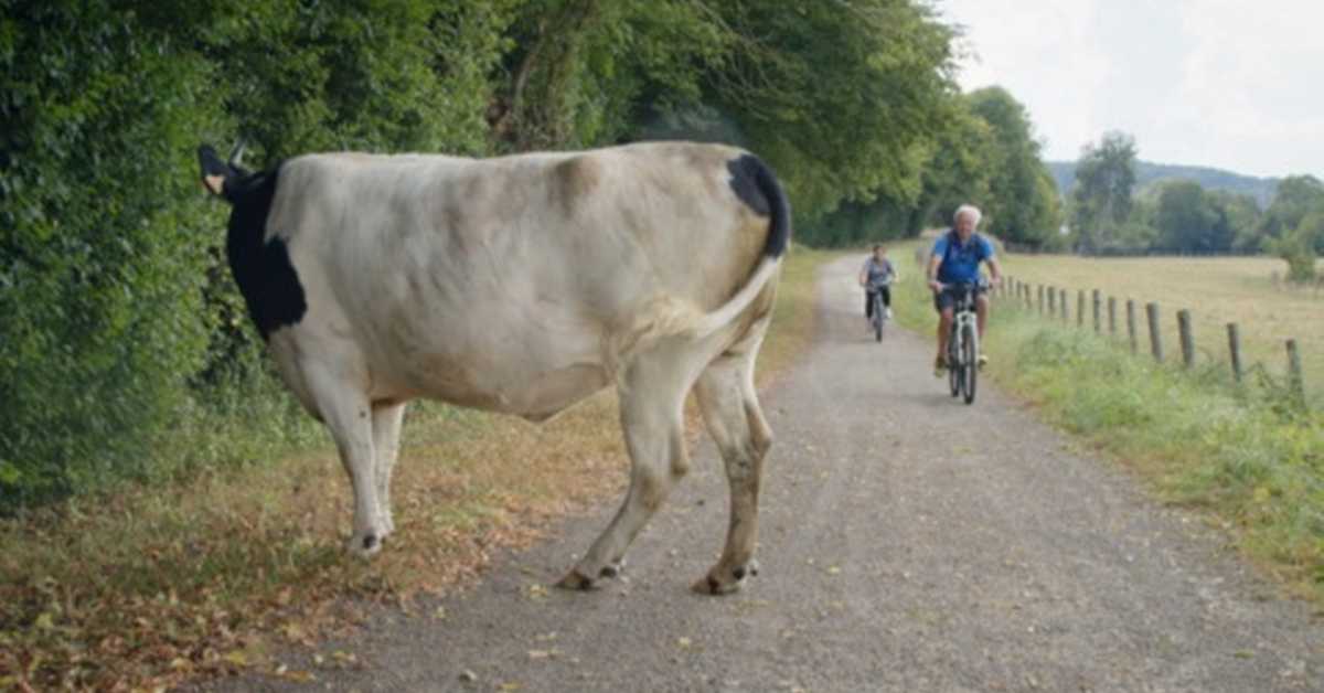 Зелени начин живота