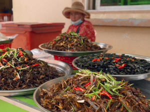 Чудесни светски безистани: Камбоџа – пијаца инсеката, 5-6 