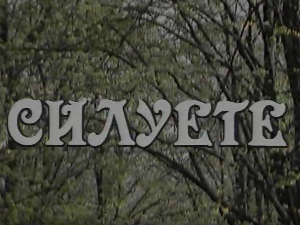 Силуете: Даница Обренић