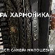 Кад засвира хармоника: Сандра Милошевић