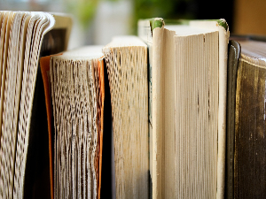 Добитници признања „Миле Недељковић“ за 2025. годину