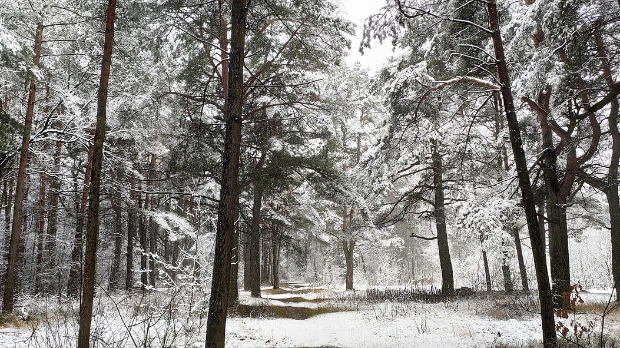 Последице обилних падавина и даље трају