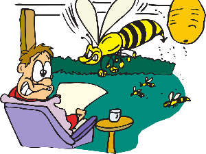 Вести – Како јавља Политикин забавник 60