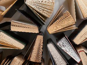 Шест романа у трци за НИН-ову награду