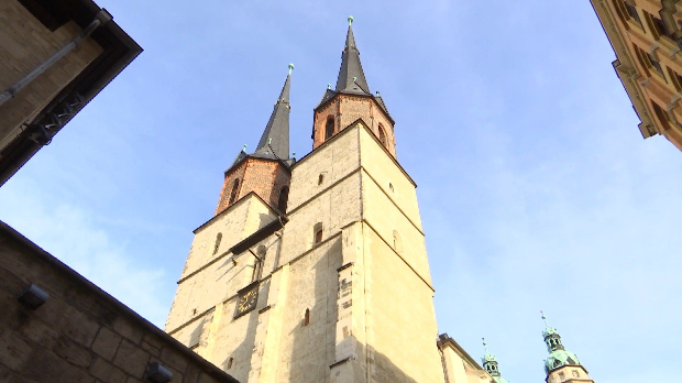 Доситеј путник посвећености: Образовање на Западу