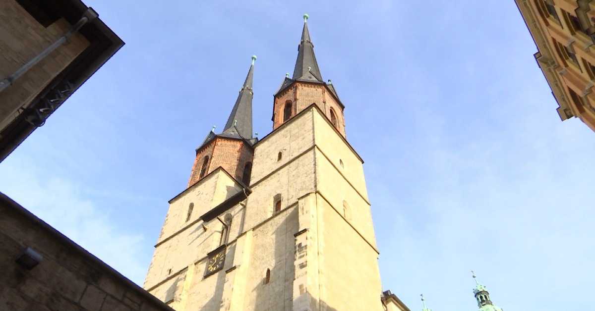 Доситеј путник посвећености: Образовање на Западу