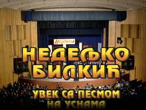 Концерт Недељка Билкића