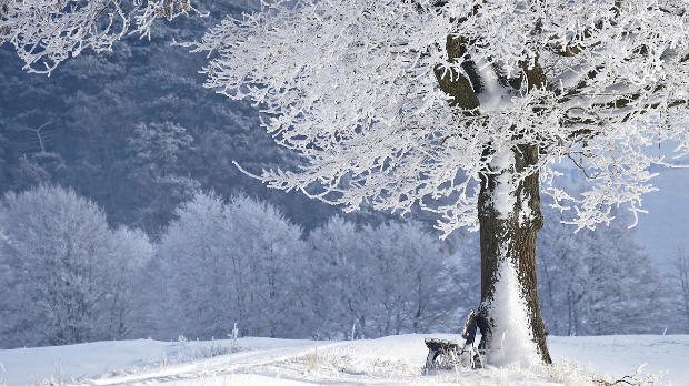 Хоћу да знам: Кад зима завлада