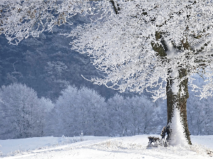 Из другог угла