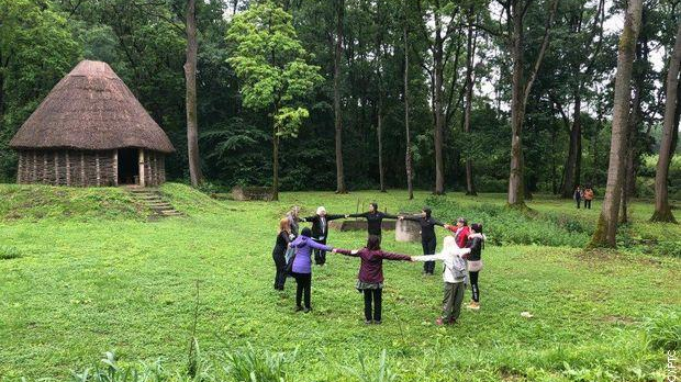 Еко перспективе: Шумски велнес