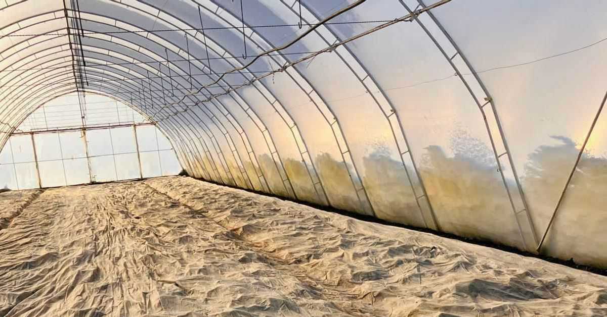 Снег је добродошао пољопривреди – штити усеве и ствара залихе влаге за пролеће