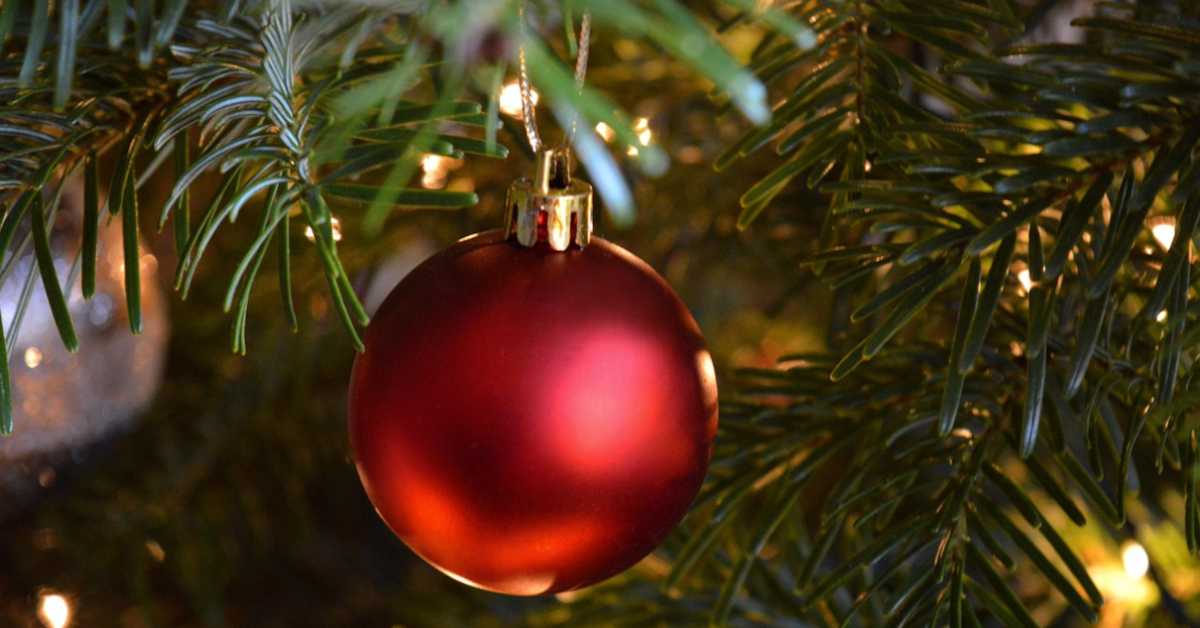 Време је да раскитимо јелку, ако већ нисмо