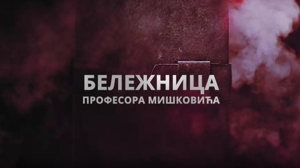 Бележница професора Мишковића, 5-12