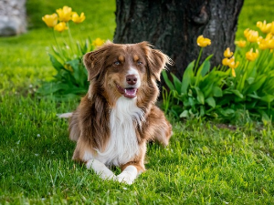 Јутарњи програм из три студија