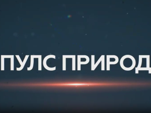 Пулс природе-Соколске планине