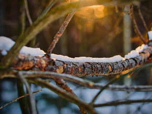 Без падавина, али хладније – могућ ветар олујне јачине